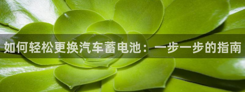 优发国际平台u8是什么公司