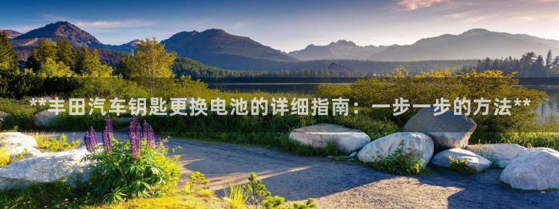 优发国际是什么
