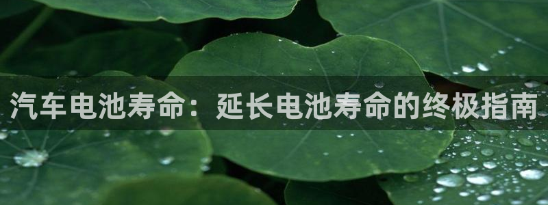 优发国际手机客户端下载安卓