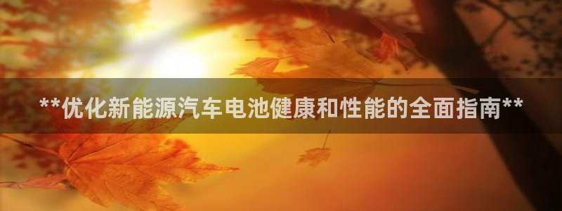 优发国际平台u8是什么软件