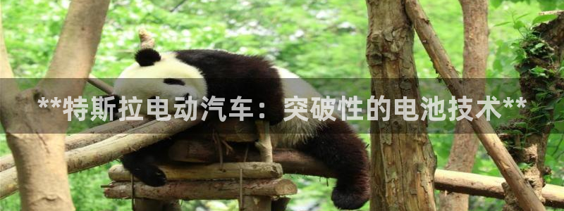 优发国际手机版官网入口