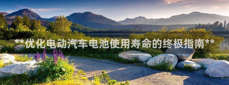 优发国际手机客户端app