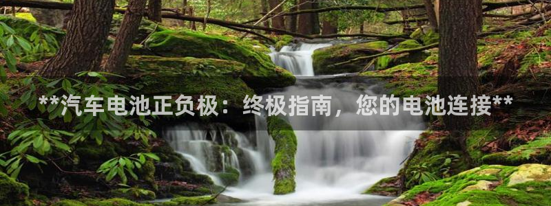 优发国际手机版客户端