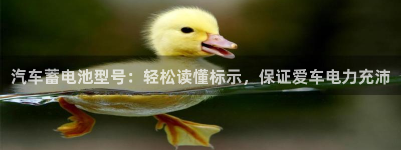 优发国际手机客户端下载安装