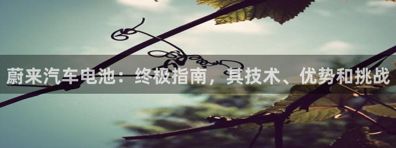 优发国际app官网下载安装手机版