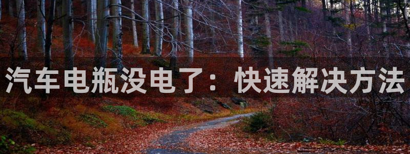 优发国际手机版网站登录