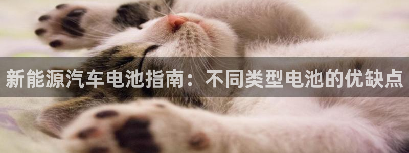 优发国际官网平台