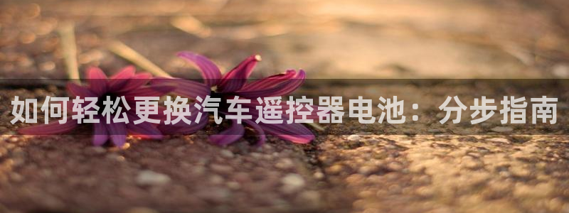 优发国际手机版唯一官网