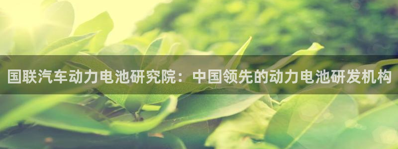 优发国际官方网手机版app