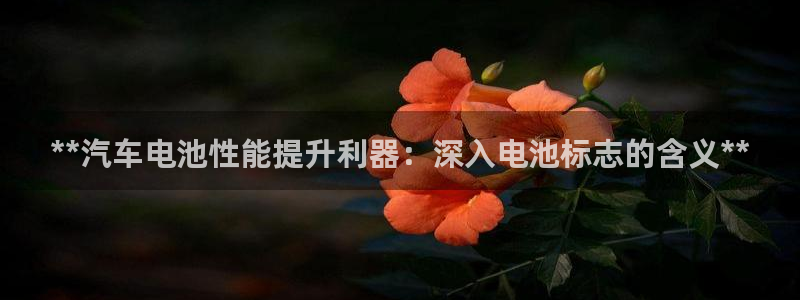 优发国际vip网址