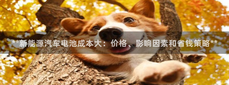优发国际手机版