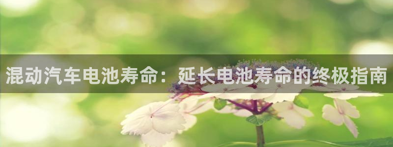优发国际平台手机版下载安装