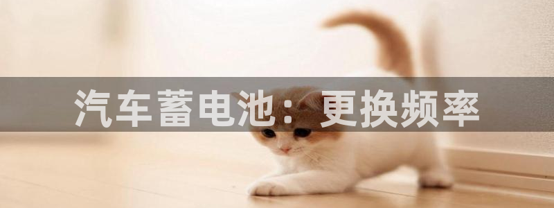优发国际官方网手机版下载安卓：汽车蓄电池：更换频率