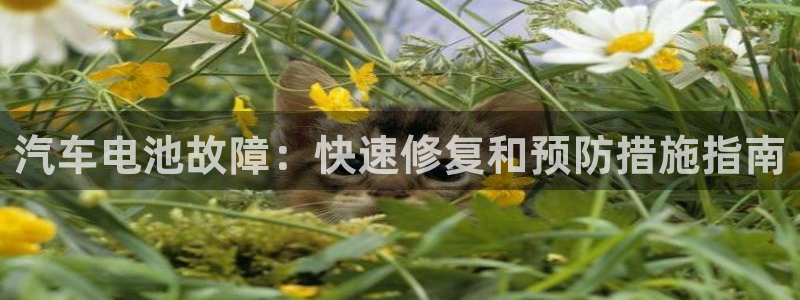 优发国际官网手机版入口：汽车电池故障：快速修复和预防措施指南