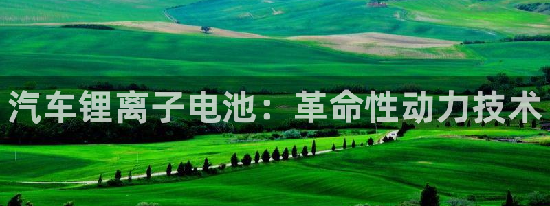 优发国际登陆：汽车锂离子电池：革命性动力技术