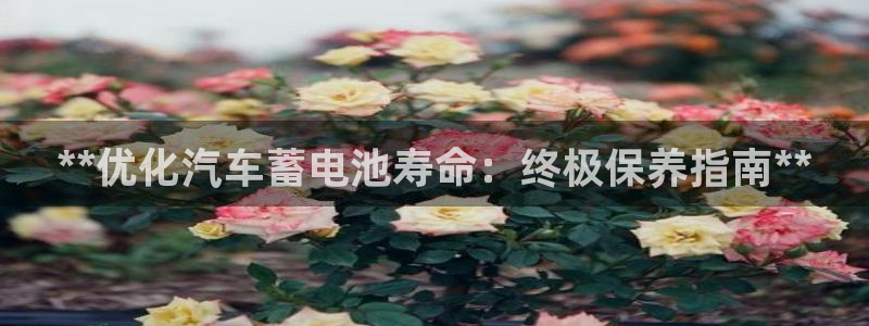 优发国际游戏17岁能玩吗