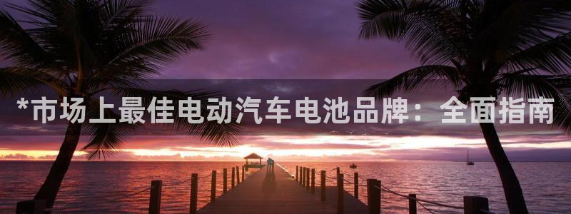 优发国际的网站是：*市场上最佳电动汽车电池品牌：全面指南