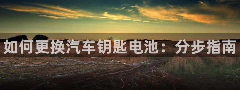 优发国际平台u8是什么公司