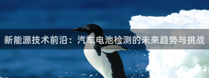 优发国际登录168：新能源技术前沿：汽车电池检测的未来趋势与挑战