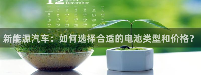 优发娱乐国际线上营业时间：新能源汽车：如何选择合适的电池类型和价格？