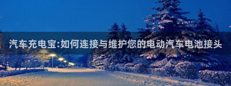 优发国际手机客户端官网首页：汽车充电宝:如何连接与维护您的电动汽车电池接头