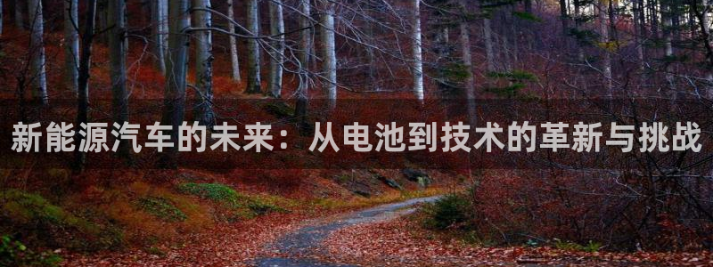 优发国际是大平台吗是真的吗