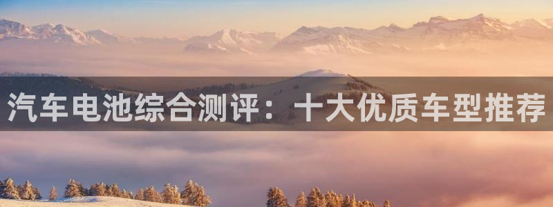 优发国际手机版网站：汽车电池综合测评：十大优质车型推荐