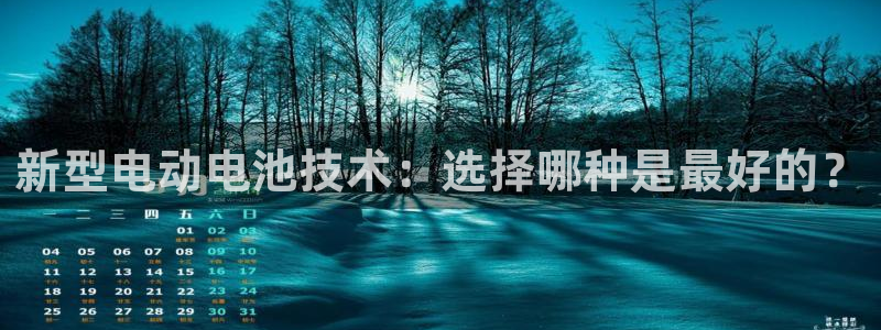 优发国际集团股份有限公司招聘：新型电动电池技术：选择哪种是最好的？