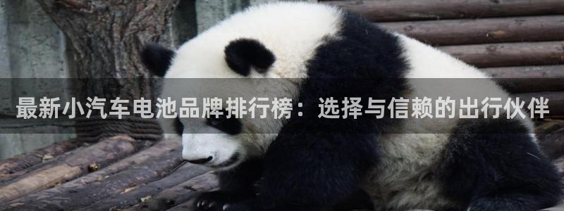 优发国际手机客户端下载不了：最新小汽车电池品牌排行榜：选择与信赖的出行伙伴