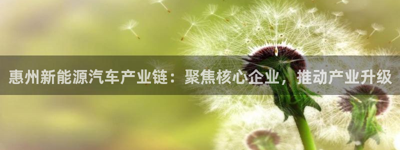 优发国际游戏官方网站：惠州新能源汽车产业链：聚焦核心企业，推动产业升级