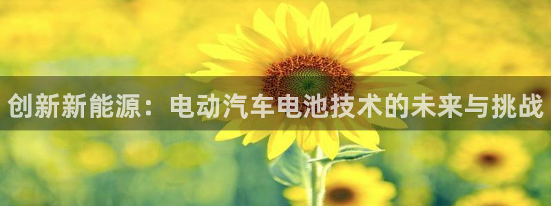 优发国际官网网站：创新新能源：电动汽车电池技术的未来与挑战