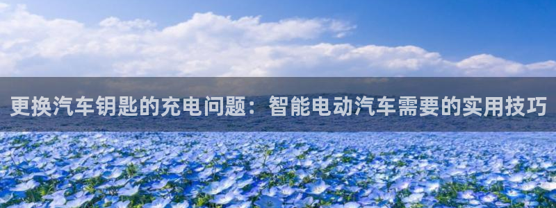 优发国际官网平台：更换汽车钥匙的充电问题：智能电动汽车需要的实用技巧