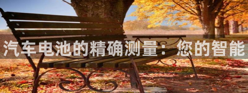 优发国际手机客户端下载安装手机版：汽车电池的精确测量：您的智能