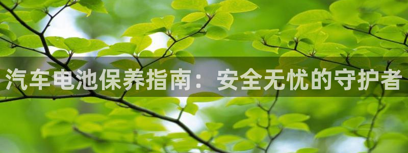 优发国际集团股份有限公司官网：汽车电池保养指南：安全无忧的守护者