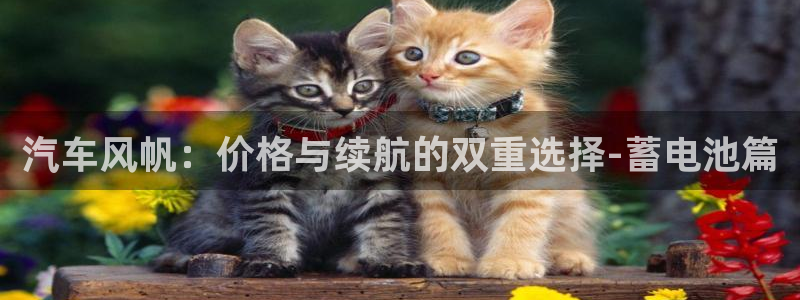 优发国际youfa966：汽车风帆：价格与续航的双重选择-蓄电池篇
