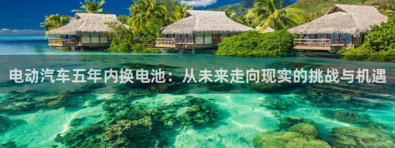 优发国际手机客户端下载安装不了：电动汽车五年内换电池：从未来走向现实的挑战与机遇
