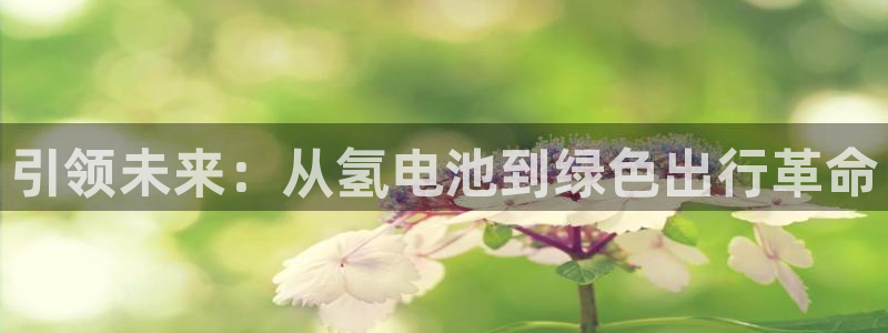 优发国际登录首页怎么设置：引领未来：从氢电池到绿色出行革命