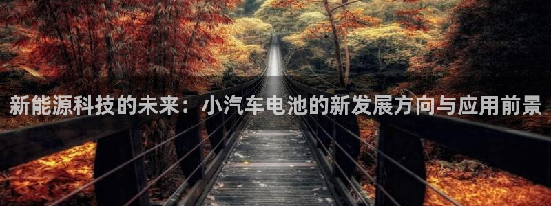优发国际平台u8是什么公司：新能源科技的未来：小汽车电池的新发展方向与应用前景