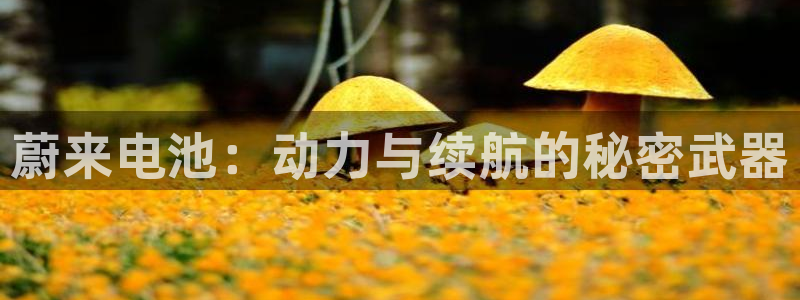 优发国际官网是多少号码：蔚来电池：动力与续航的秘密武器