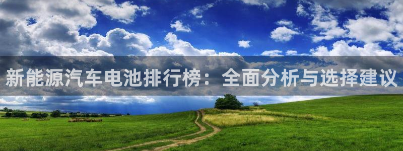 优发国际不出款怎么办：新能源汽车电池排行榜：全面分析与选择建议