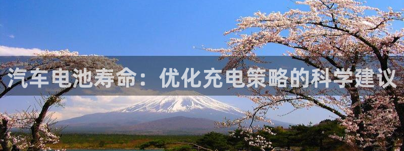 优发国际youfa：汽车电池寿命：优化充电策略的科学建议