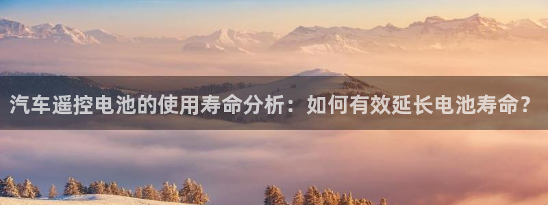 优发国际多少钱：汽车遥控电池的使用寿命分析：如何有效延长电池寿命？