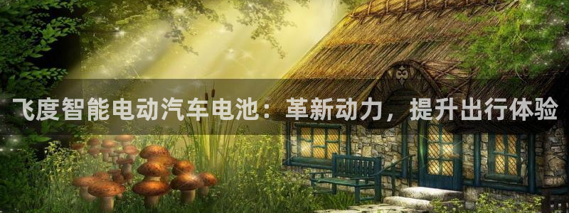 优发国际这个平台怎么样啊：飞度智能电动汽车电池：革新动力，提升出行体验