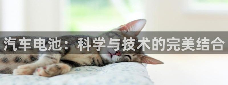 优发国际手机app下载安装苹果