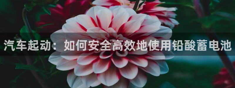 优发国际手机版网站官网：汽车起动：如何安