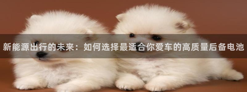 优发国际安卓版下载安装最新版