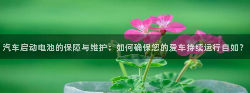 优发国际官网登陆：汽车启动电池的保障与维