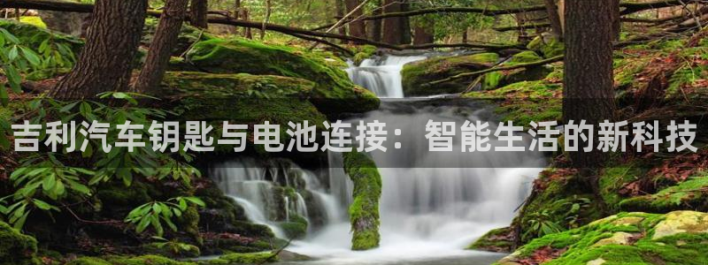 优发国际下载安装