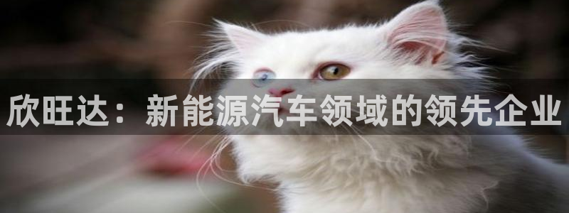 优发国际官网是多少：欣旺达：新能源汽车领域的领先企业