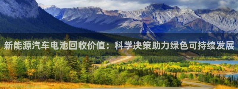 优发国际平台u8是什么软件：新能源汽车电池回收价值：科学决策助力绿色可持续发展